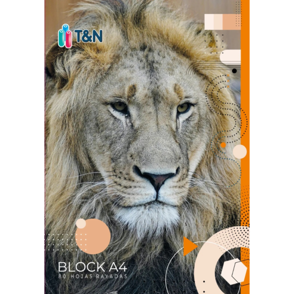 Block A4